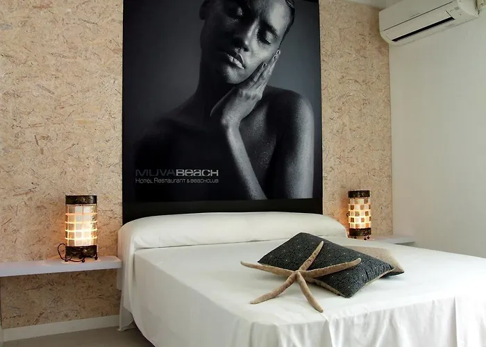 Muva 호텔 *